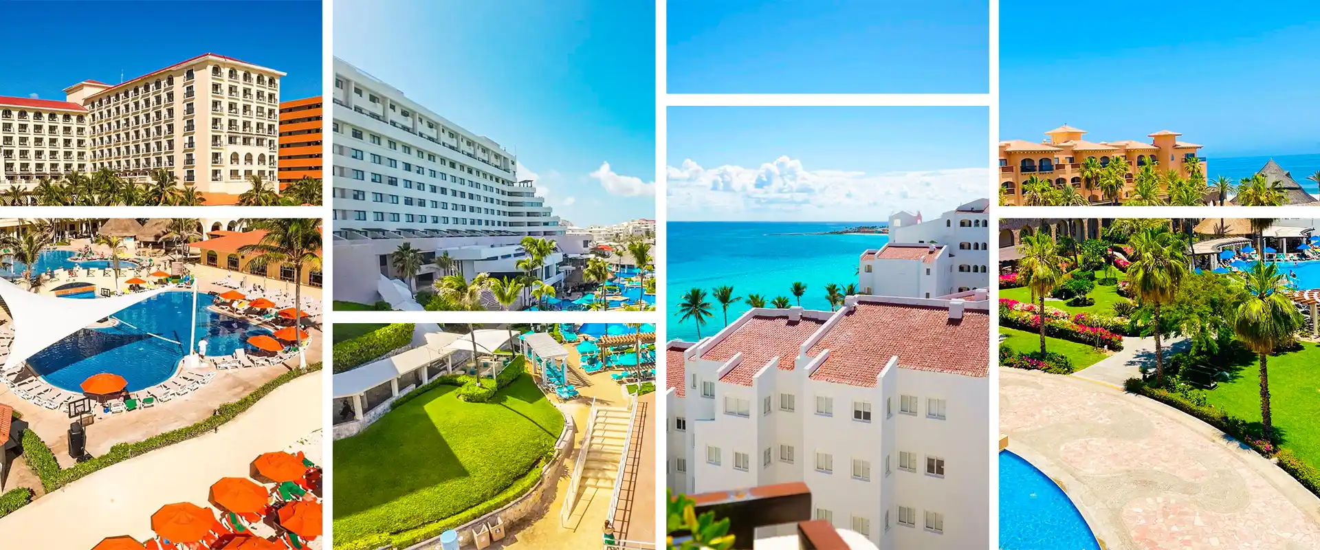 Blogs Royal Solaris Los Cabos